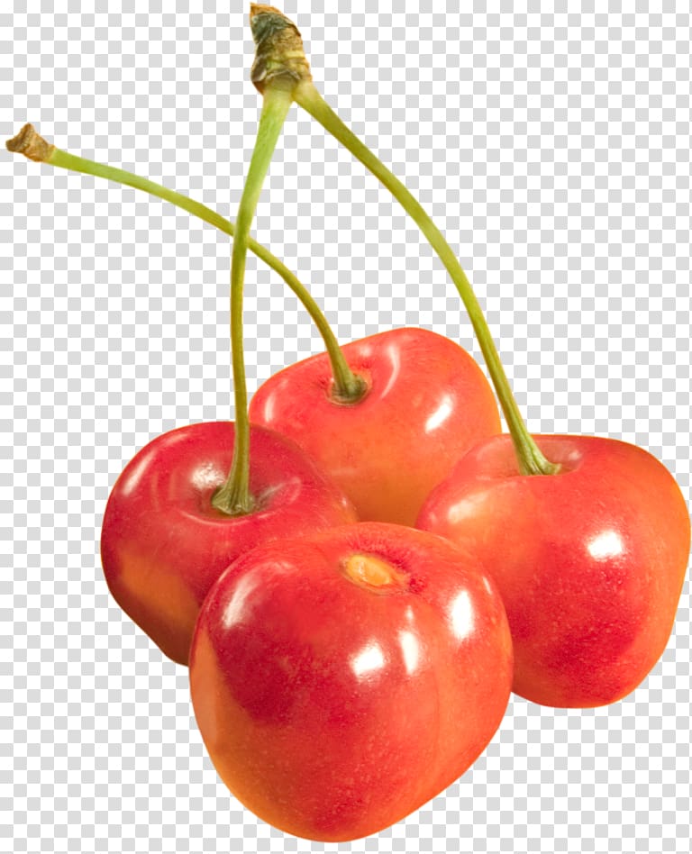 Barbados Cherry Fruit, cherry transparent background PNG clipart