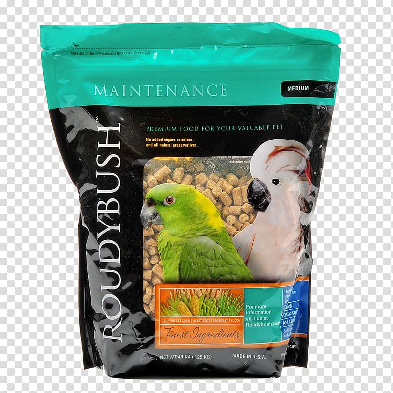 Parrot Roudybush Inc MINI Cooper Budgerigar Bird, parrot transparent background PNG clipart