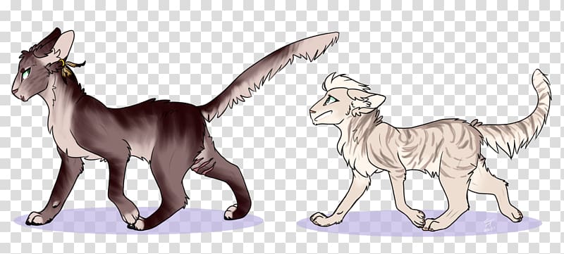 Cat Dog Mammal Animal Carnivora, journal tail footer line transparent background PNG clipart