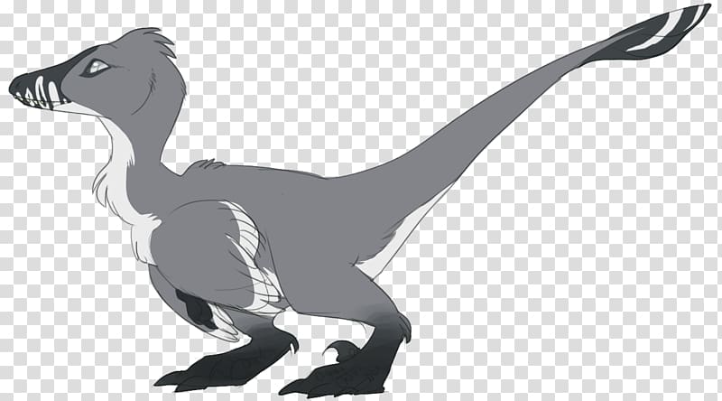 Velociraptor White Wildlife Character Beak, clever girl transparent background PNG clipart