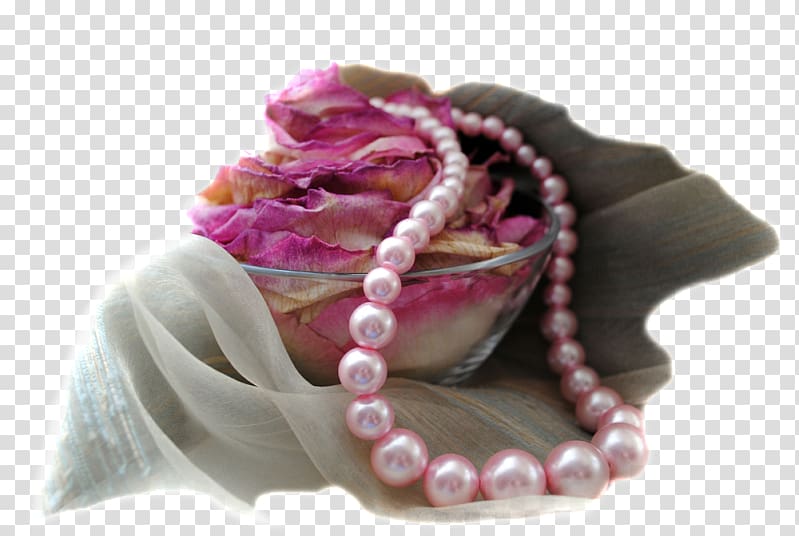 Pearl feminist strike of 8 March 2018 Bead Bracelet Dream interpretation, mono transparent background PNG clipart