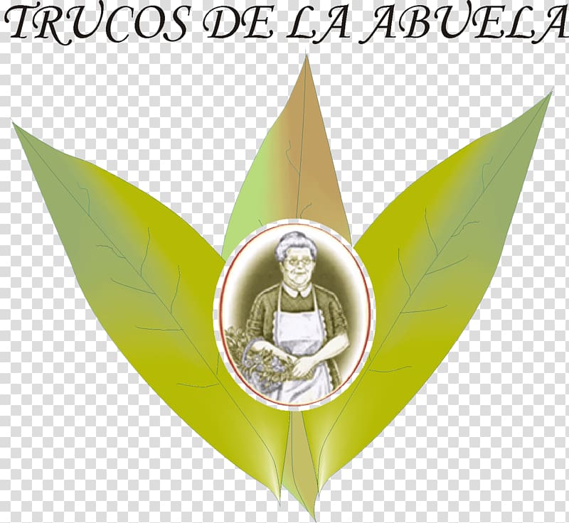 Los remedios de la abuela para cada estación del año Logo Brand Season Font, truco transparent background PNG clipart