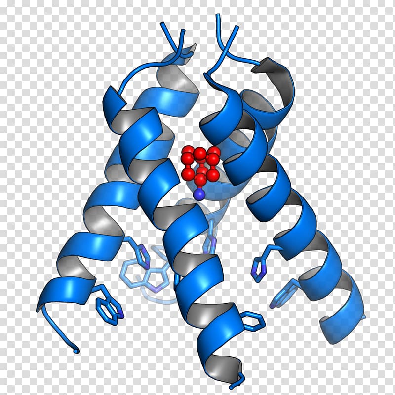 M2 proton channel Viroporin Human respiratory syncytial virus, trichome virus cell transparent background PNG clipart