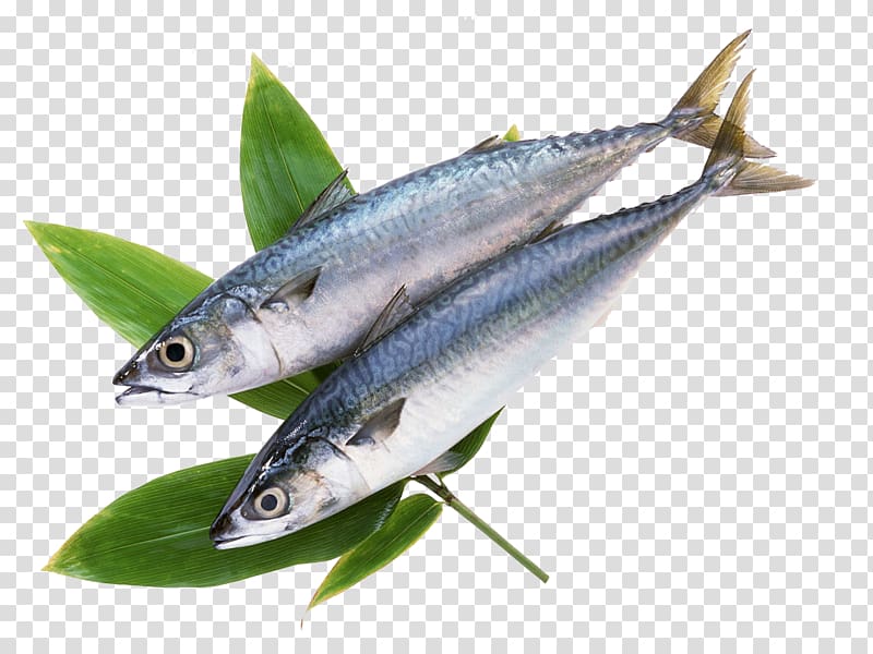 Frozen food Fish Atlantic mackerel, Two grass carp transparent background PNG clipart