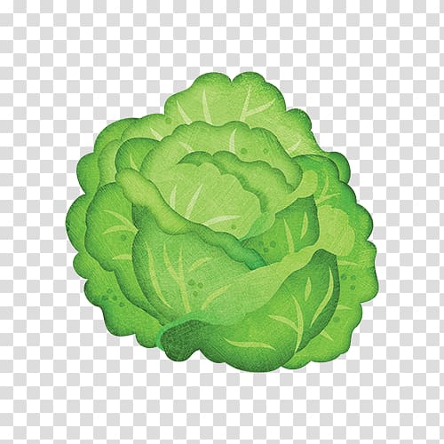 Iceberg lettuce Leaf vegetable Cabbage, lettuce transparent background PNG clipart