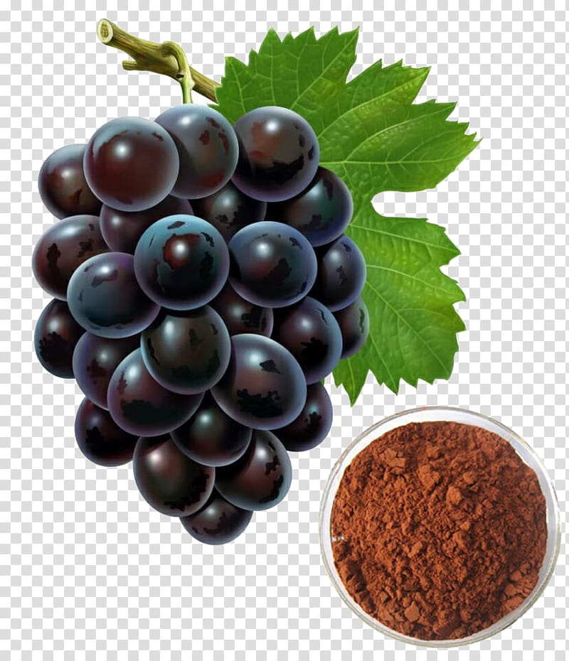 Grape seed extract Grape seed oil, Grape seed extract transparent background PNG clipart