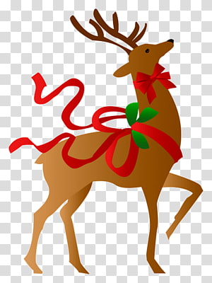 Reindeer Rudolph Santa Claus , Reindeer transparent background PNG clipart thumbnail