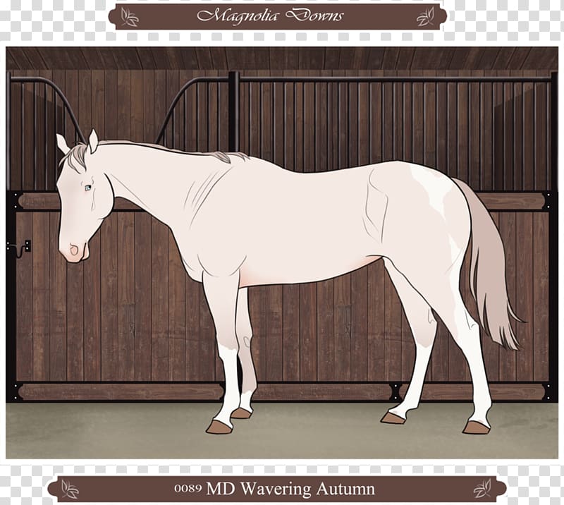Mule Foal Stallion Horse Mare, gentle and quiet transparent background PNG clipart