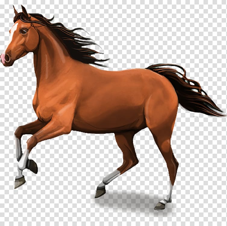 Stallion Clydesdale horse Mare Andalusian horse Foal, Horse 3d transparent background PNG clipart