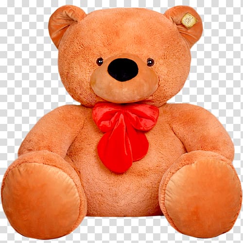 Teddy bear transparent background PNG clipart