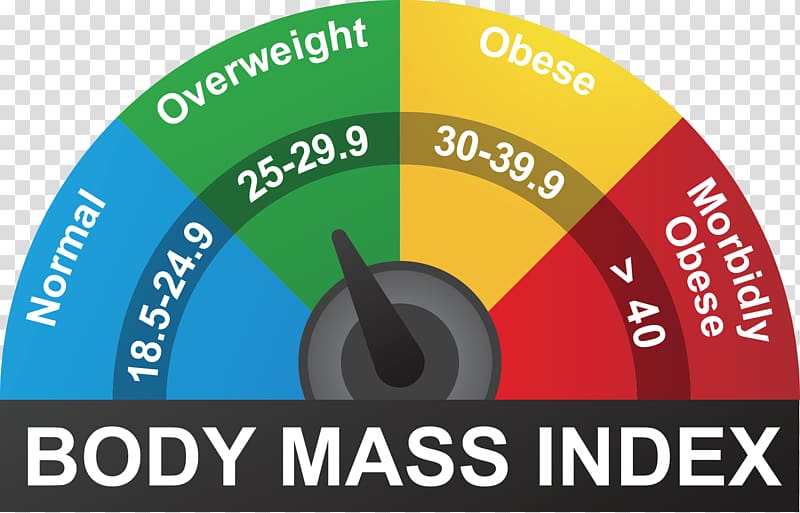Body mass index Human body weight Adipose tissue Weight and height percentile, others transparent background PNG clipart