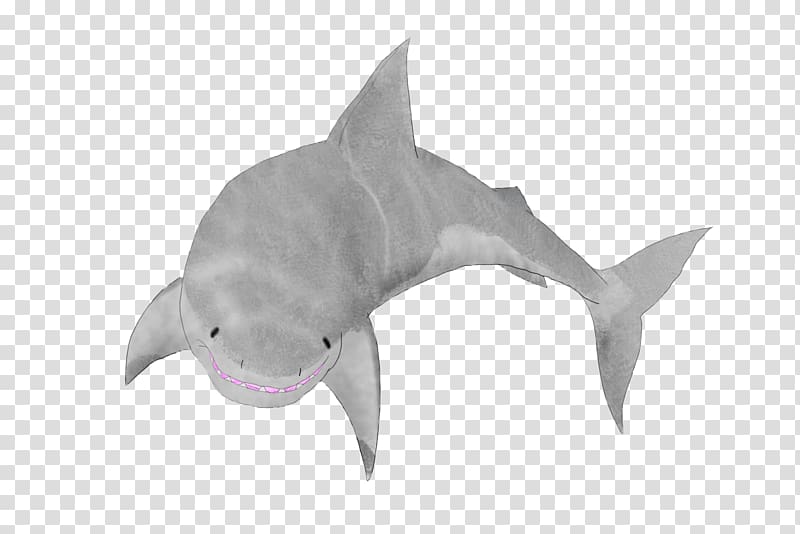 Shark Fauna Marine biology Dolphin, shark transparent background PNG clipart