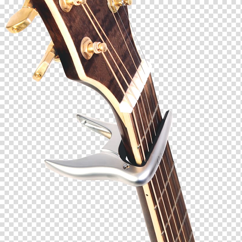 Musical Instruments Electric guitar String Instruments Acoustic guitar, amancio ortega transparent background PNG clipart