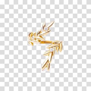 Body Jewellery, Jewellery transparent background PNG clipart thumbnail