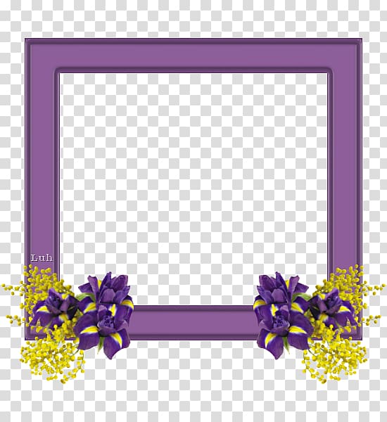 Floral design Mimosa salad Cut flowers Frames, design transparent background PNG clipart