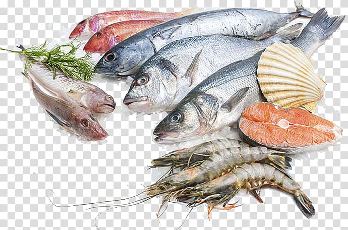 assorted edible fishes, Sustainable seafood Fish processing Salmon, fish transparent background PNG clipart