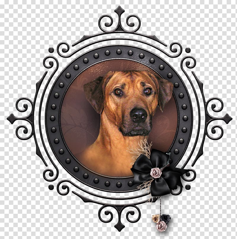 WA Ink Dog breed Toyota Public Relations, Rhodesian Ridgeback transparent background PNG clipart