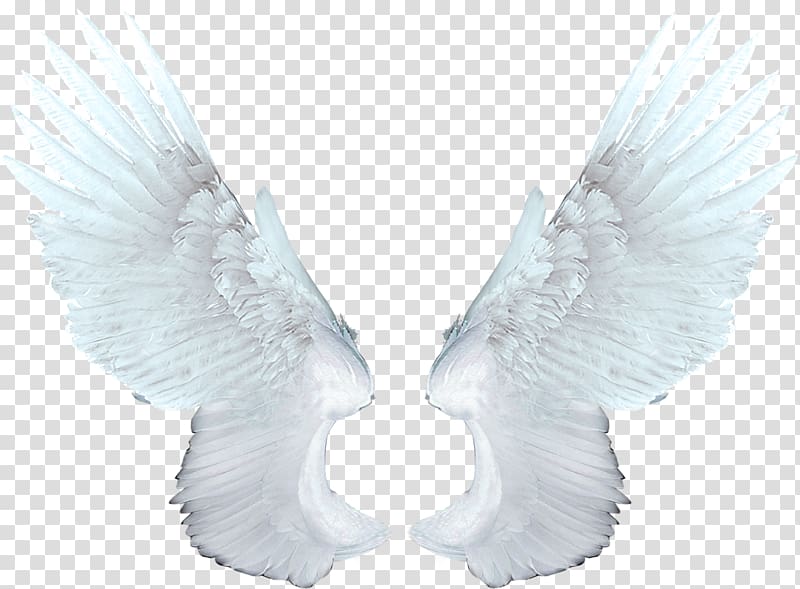 Wing Angel Raster graphics , wings transparent background PNG clipart