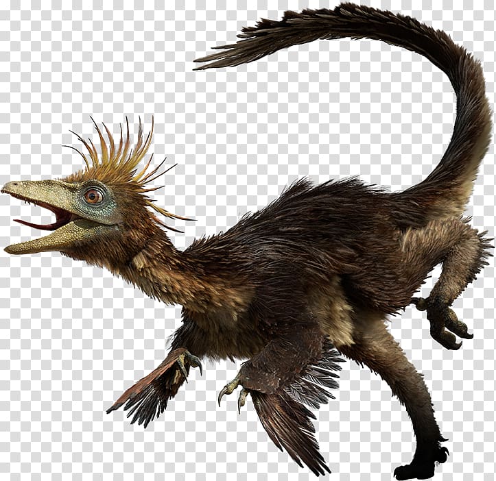 Troodon Late Cretaceous Tyrannosaurus Hesperonychus Dromaeosaurus, Bird transparent background PNG clipart