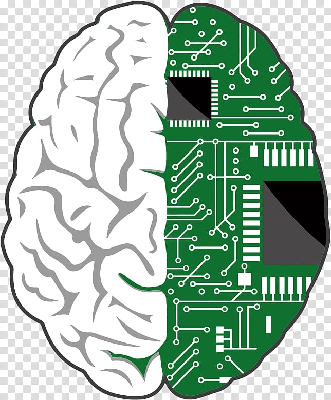 Brain–computer interface Human brain, Brain transparent background PNG clipart