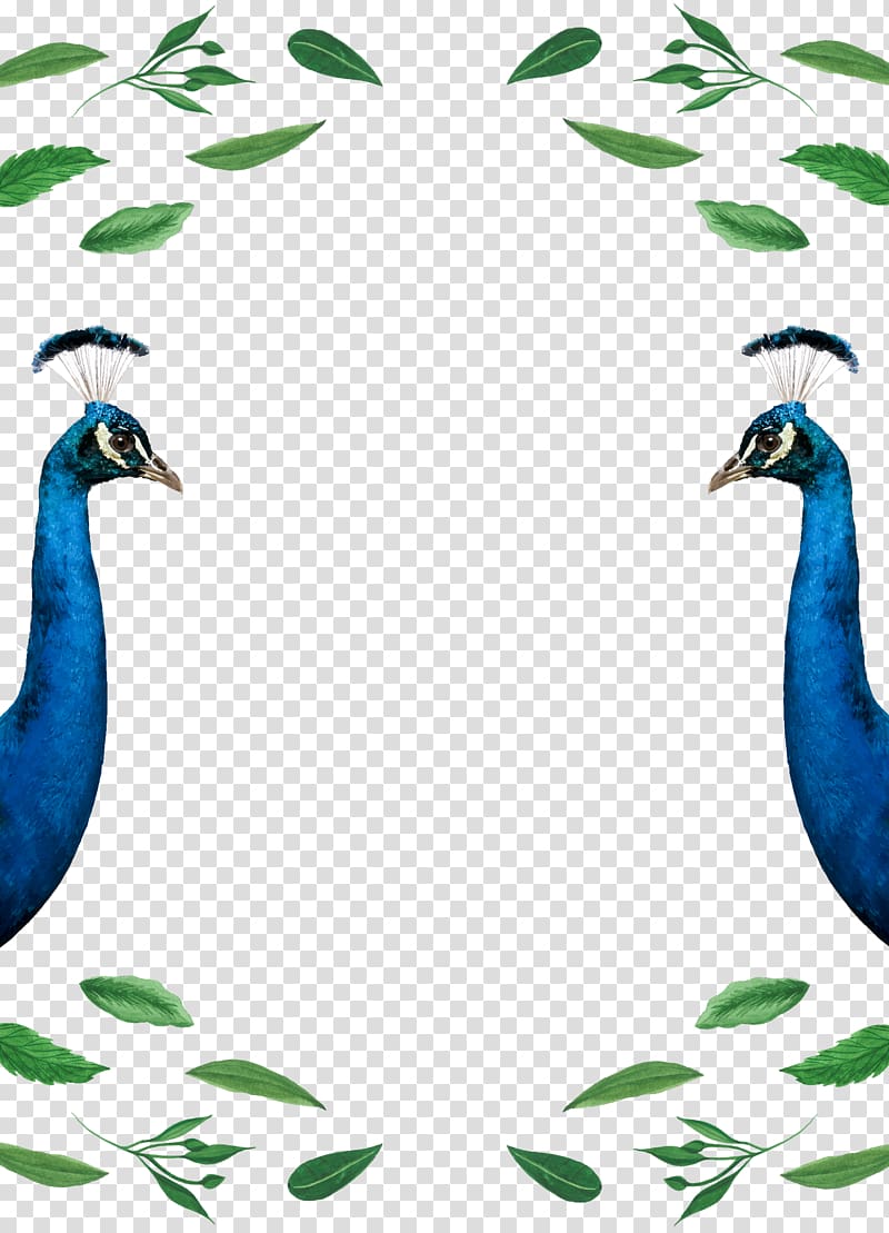 Wedding invitation Paper Goose Duck, peacock transparent background PNG clipart