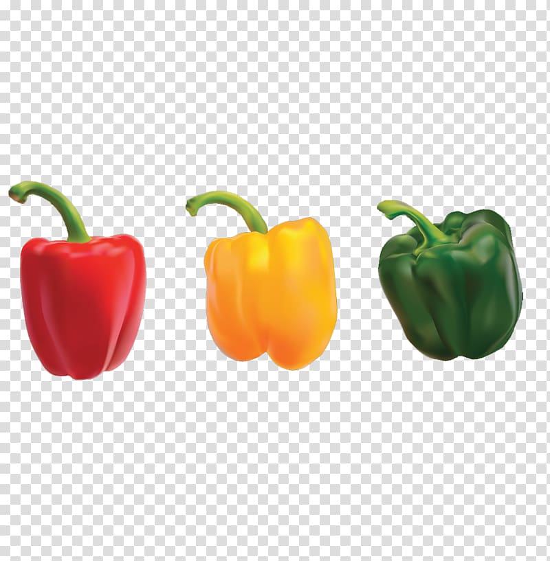 Bell pepper Nigerian cuisine Omelette Eating Chili pepper, Cartoon persimmon pepper transparent background PNG clipart