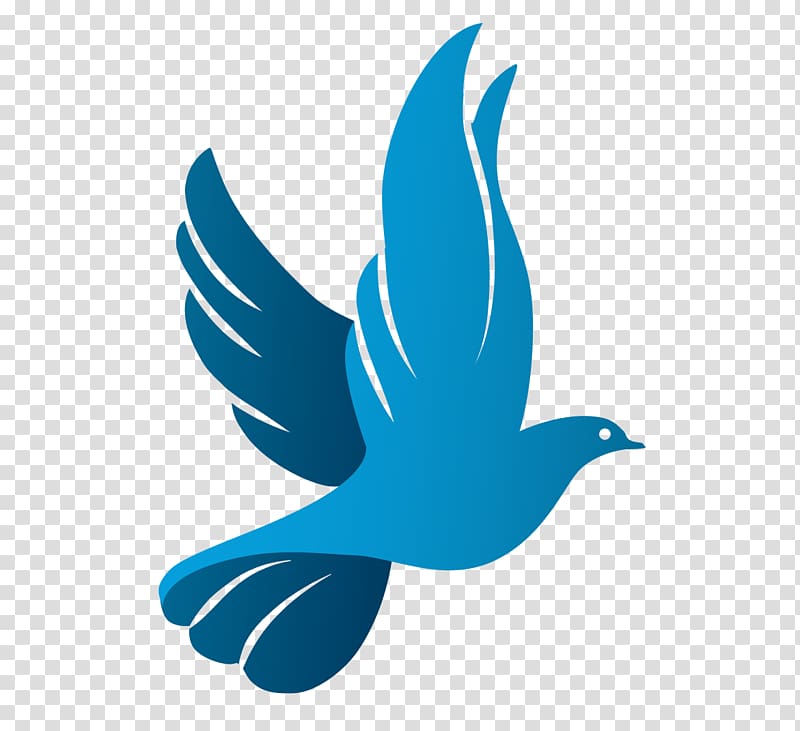 blue bird , Columbidae Doves as symbols Logo, pigeon transparent background PNG clipart