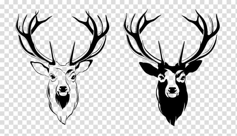 two deer mounts illustration, Red deer Antler Moose, Deer Head transparent background PNG clipart