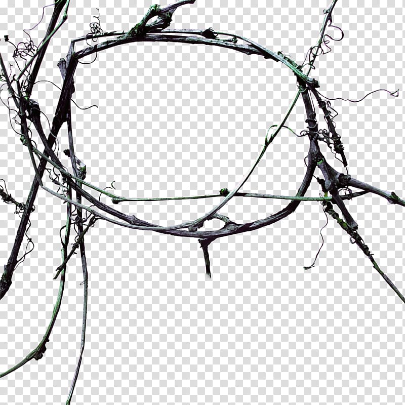 Tree Google s, Deadwood tree ring transparent background PNG clipart