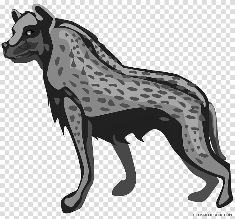 Spotted hyena Shenzi , hyena transparent background PNG clipart