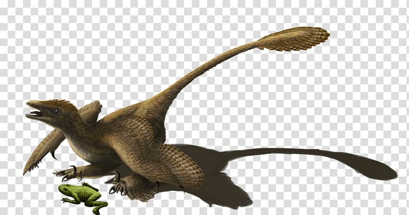 Velociraptor Sinornithosaurus Microraptor Utahraptor Reptile, dinosaur transparent background PNG clipart