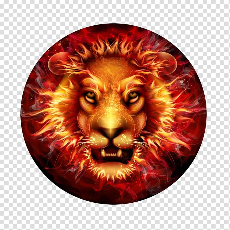 Lionhead rabbit Fire Roar, Lionhead transparent background PNG clipart