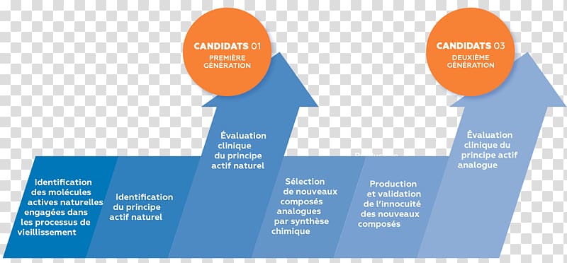 Strategy Biophytis Screening Economic development Research, others transparent background PNG clipart