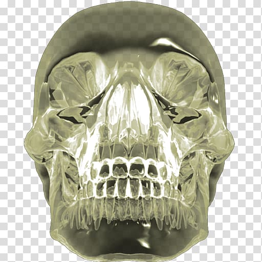 Crystal skull Indiana Jones Quartz, indiana transparent background PNG clipart