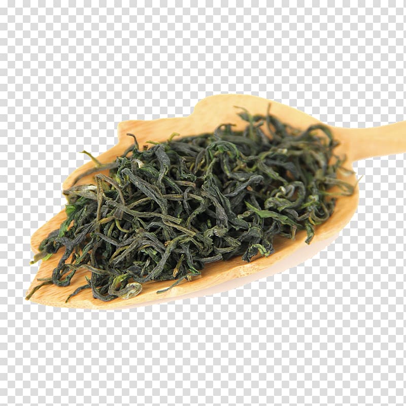 Green tea Biluochun Nilgiri tea Bancha, Spoonful of green tea transparent background PNG clipart