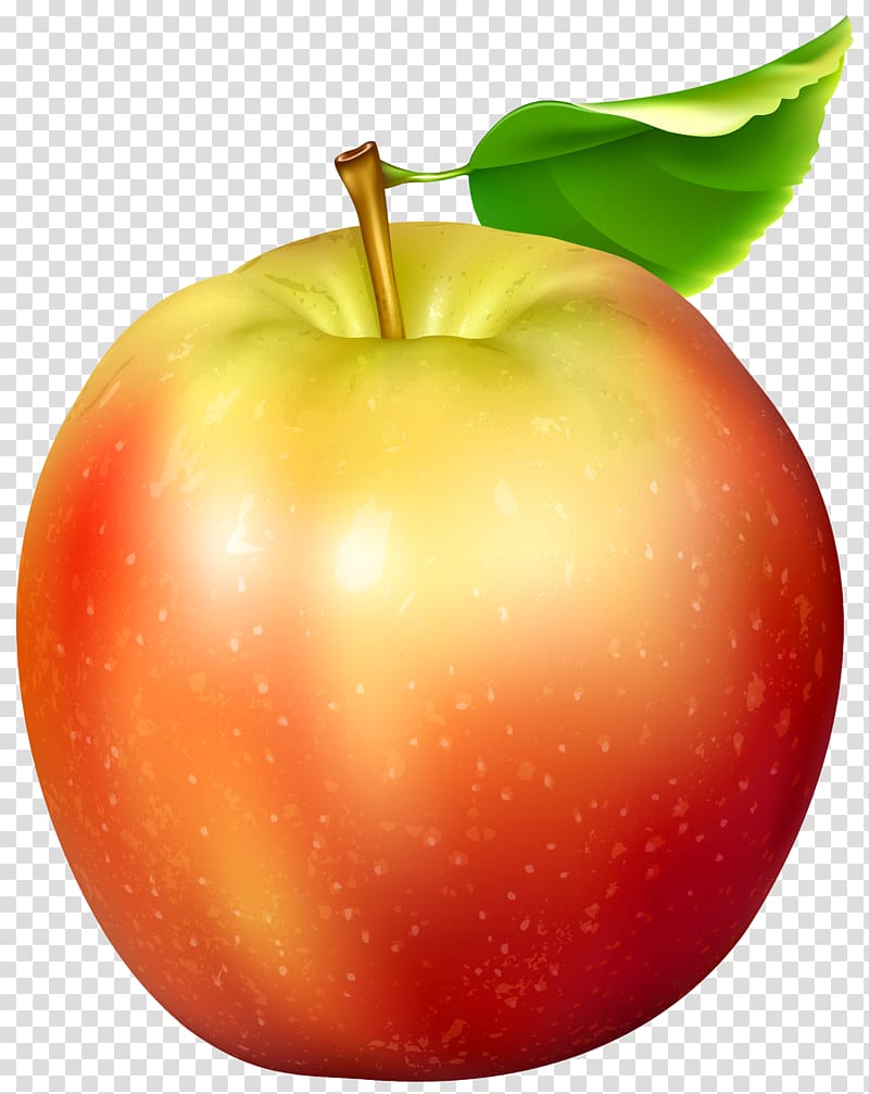 red apple , Apple , Red and Yellow Apple transparent background PNG clipart