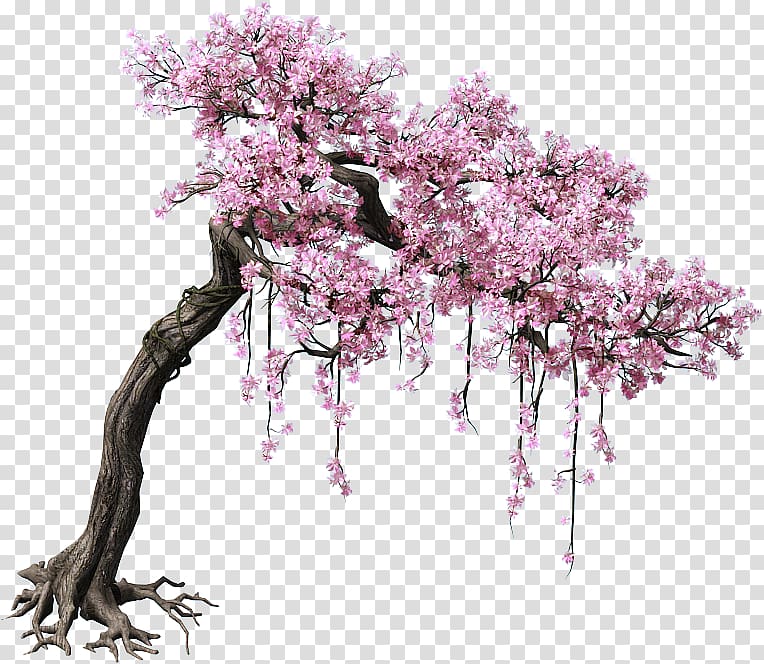 pink cherry blossom tree, Peach Tree Color, Game scene trees transparent background PNG clipart