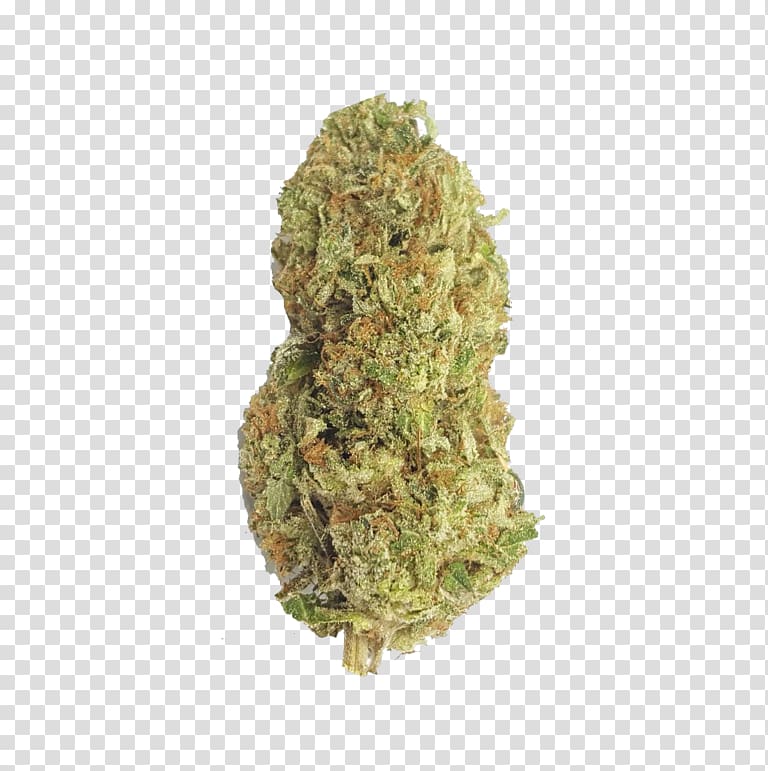 Gorilla Glue 4 Kush Cannabis Tetrahydrocannabinol, cannabis transparent background PNG clipart