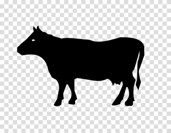 Beef cattle Angus cattle Dairy cattle Calf, others transparent background PNG clipart
