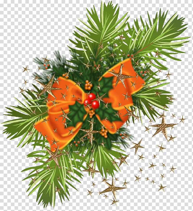 Floral design Christmas ornament Flower English Yew, flower transparent background PNG clipart