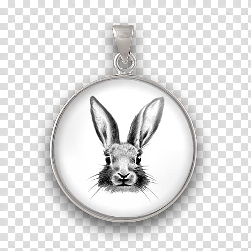 Domestic rabbit Die Muthasen GmbH Locket Charms & Pendants Cabochon, hase transparent background PNG clipart