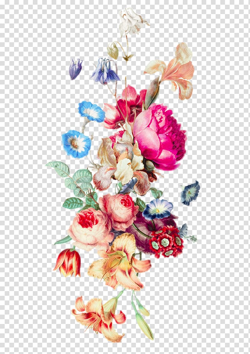 assorted-color flowers , iPhone 6 Plus Floral design Cut flowers Flower bouquet, HD flowers of various colors transparent background PNG clipart