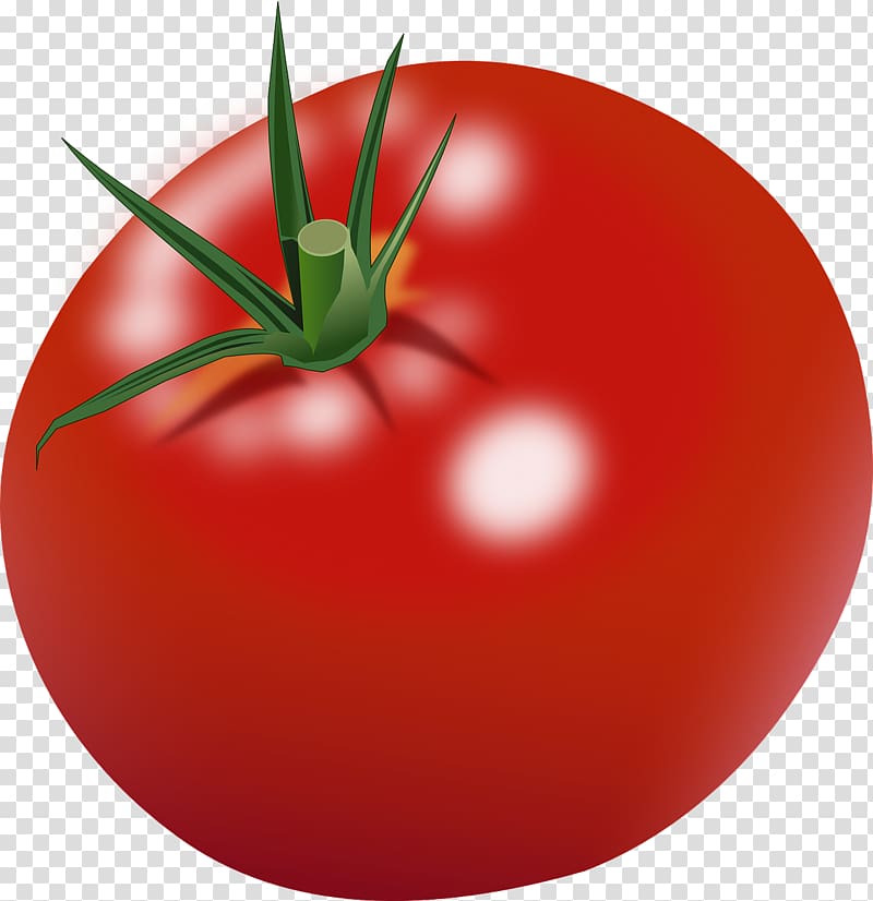 Cherry tomato Computer Icons , tomatoes transparent background PNG clipart