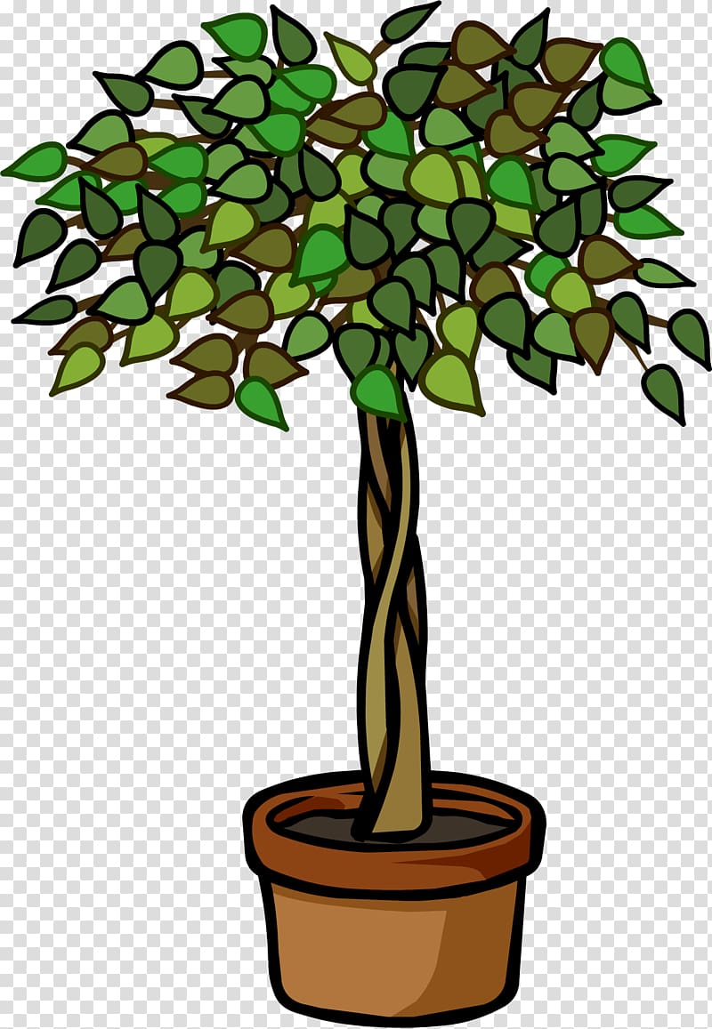 Club Penguin Igloo Plant Weeping fig Furniture, power plants transparent background PNG clipart