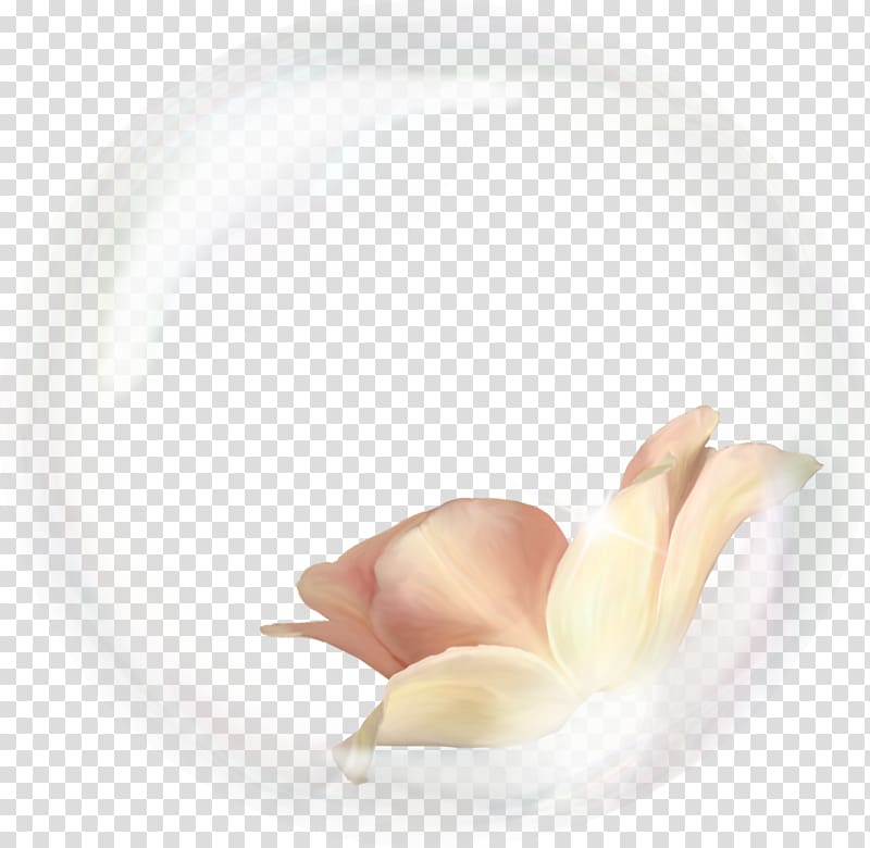 Peach, mooncake transparent background PNG clipart