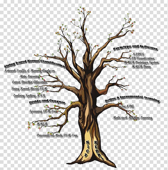 Contemplative Practices in Action Mindfulness Spiritual practice Contemplation Tree, kernel transparent background PNG clipart