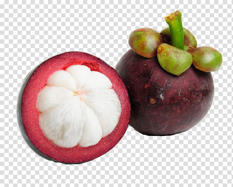 Purple mangosteen Tropical fruit Juice Colombian cuisine, juice transparent background PNG clipart