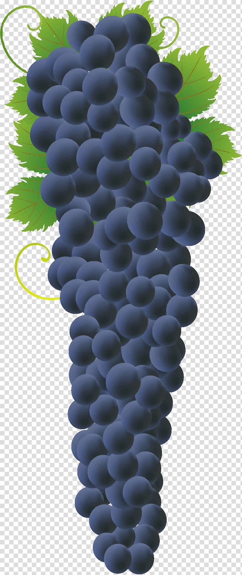 Common Grape Vine Concord grape Wine Grape juice, delicious transparent background PNG clipart