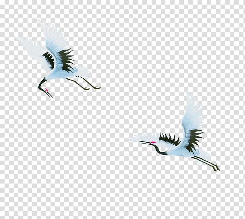 Red-crowned crane Bird Siberian crane, crane transparent background PNG clipart