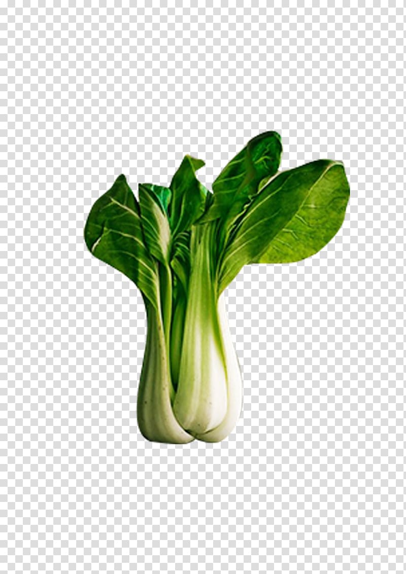 Vegetable Food Napa cabbage Bok choy Eating, fresh vegetables transparent background PNG clipart